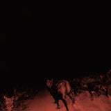 Cover for Bambara - Shadow On Everything album featuring a red-tinted night vision of a wolf in a snowy landscape