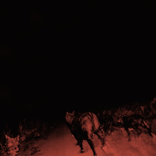 Cover for Bambara - Shadow On Everything album featuring a red-tinted night vision of a wolf in a snowy landscape