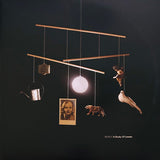 Beirut - A Study Of Losses