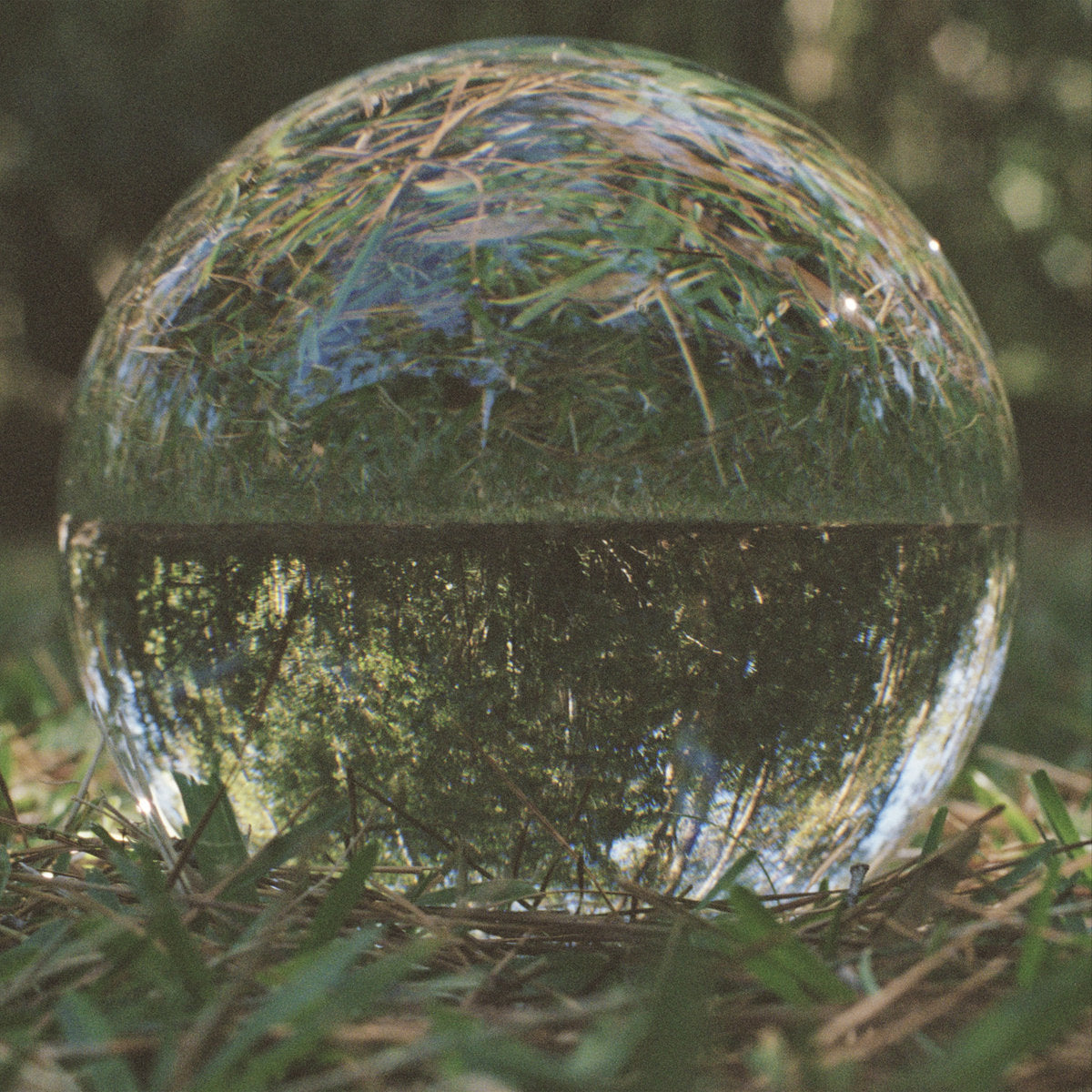 Album cover for 'Spiral' by Darkside with a clear glass sphere with grass reflection on a natural background