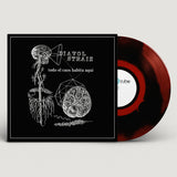 Diavol Strâin - Todo el Caos Habita Aquí