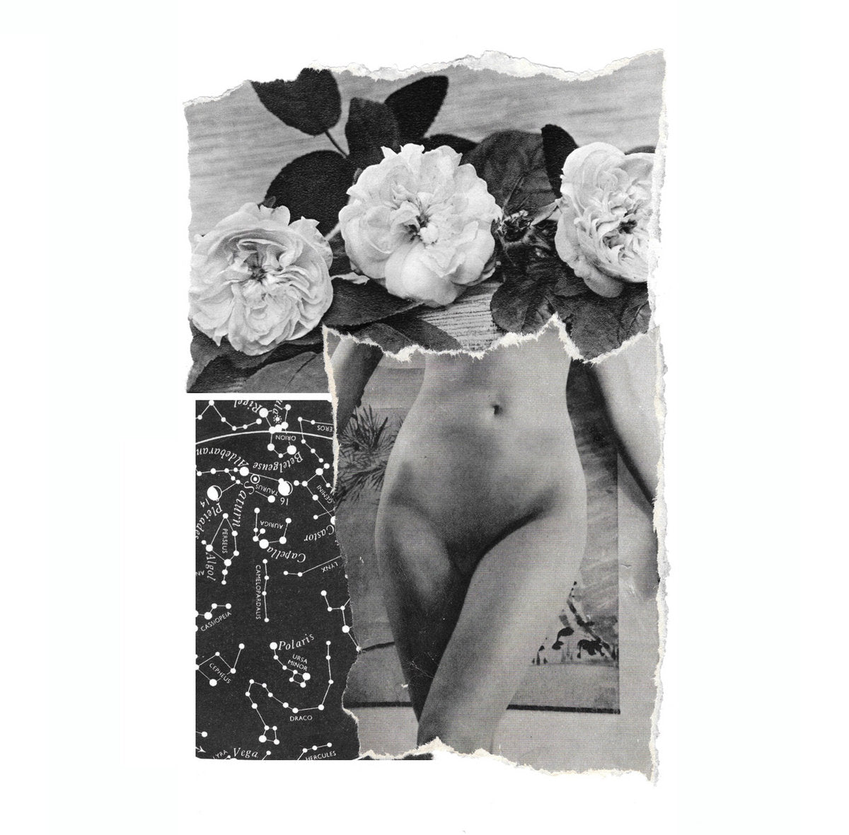 Collage with floral elements, a constellation pattern, and a partial image of a person.