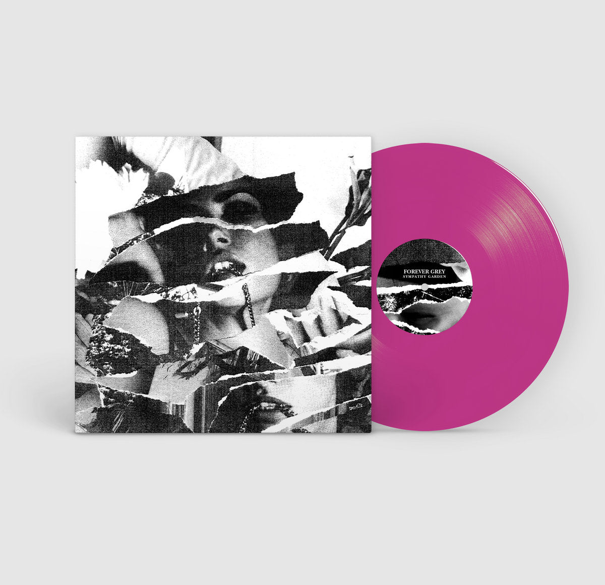 Vinyl record with a pink disc and black and white cover on a white background