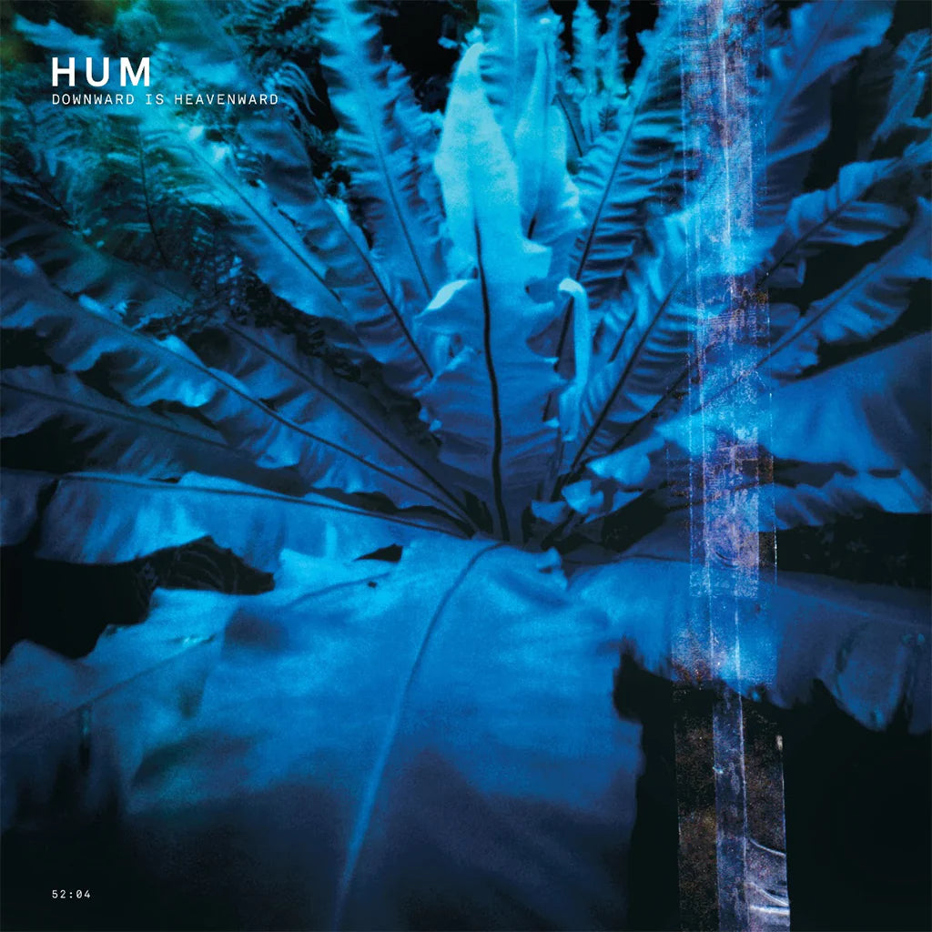 Album cover for 'Downward Is Heavenward' by HUM with blue ferns and digital elements, featuring the text 'HUM' and 'DOWNWARD IS HEAVENWARD'.