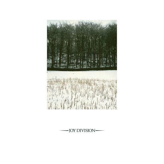 Album cover for Joy Division's 'Atmosphere' with a forest and snowy landscape