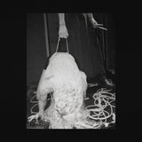 Patriarchy - Suffer With Me (Live In London)