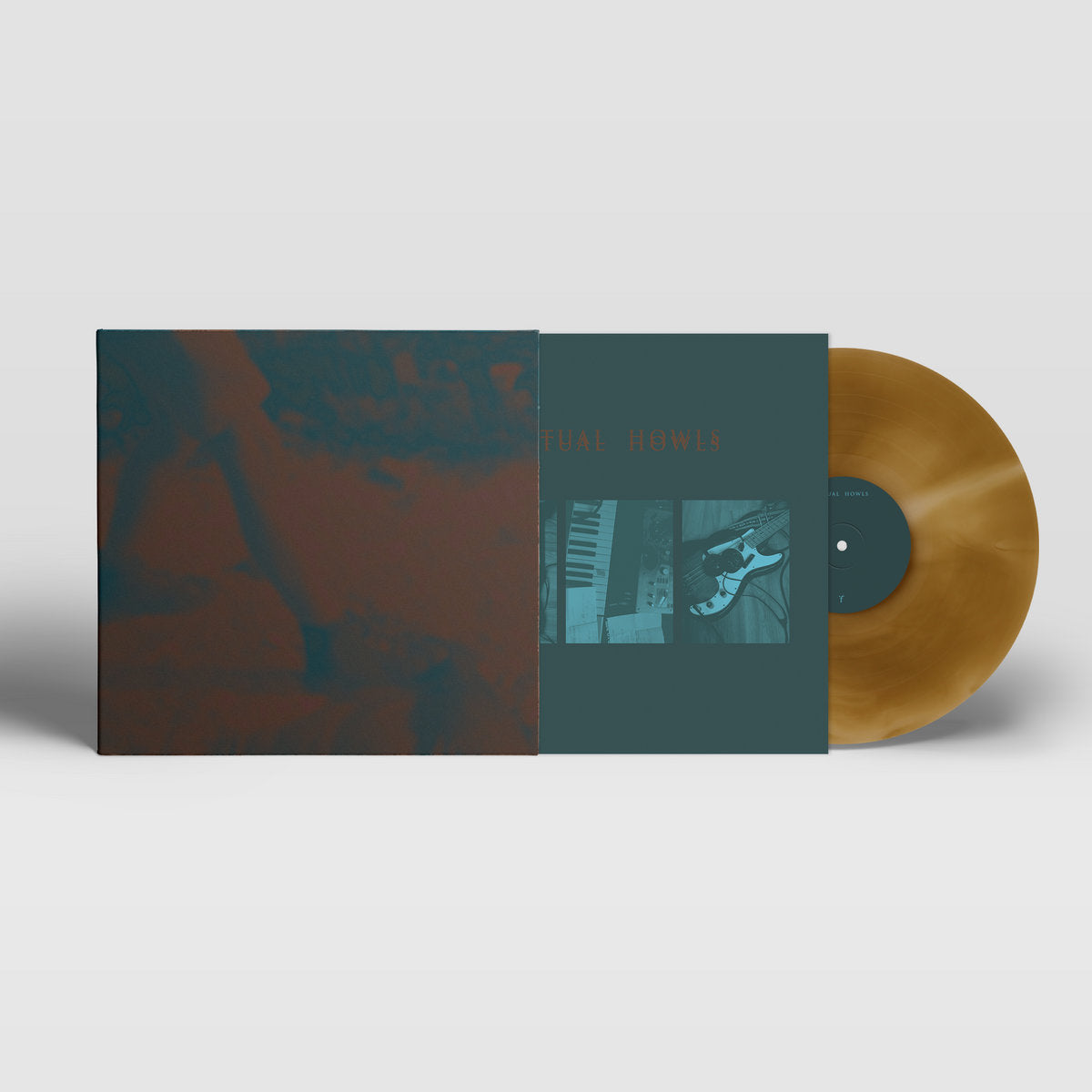 Vinyl record with a dark green sleeve on a light gray background