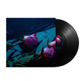 Skeleton Hands - Wake album cover pink roses underwater with a dark blue background and a black vinyl record.