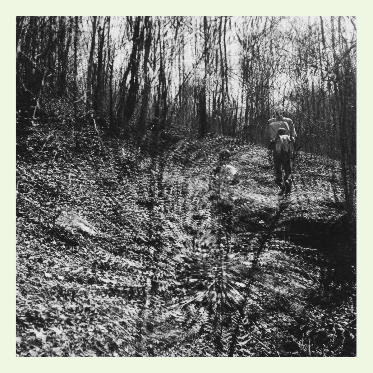 Person walking through a forest with bare trees and a clear path.