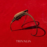Album cover for Trivalia - Crna Voda showing dried plant on a red background 