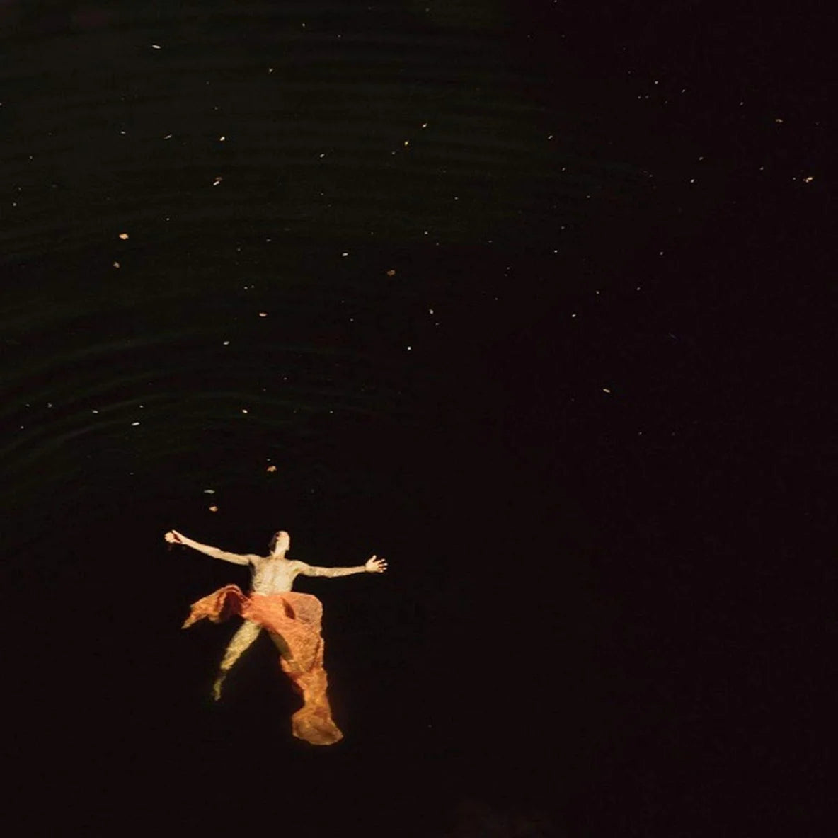 Album cover for TR/ST - The Destroyer - Part One  showing a person floating in the water 